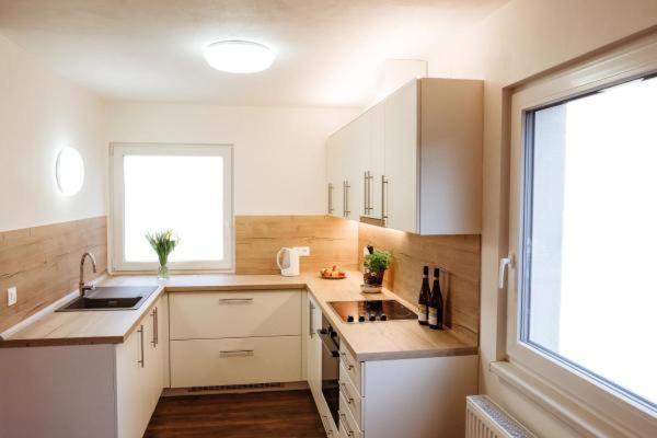 Sojka apartmány Jeseníky Sobotín Exterior foto