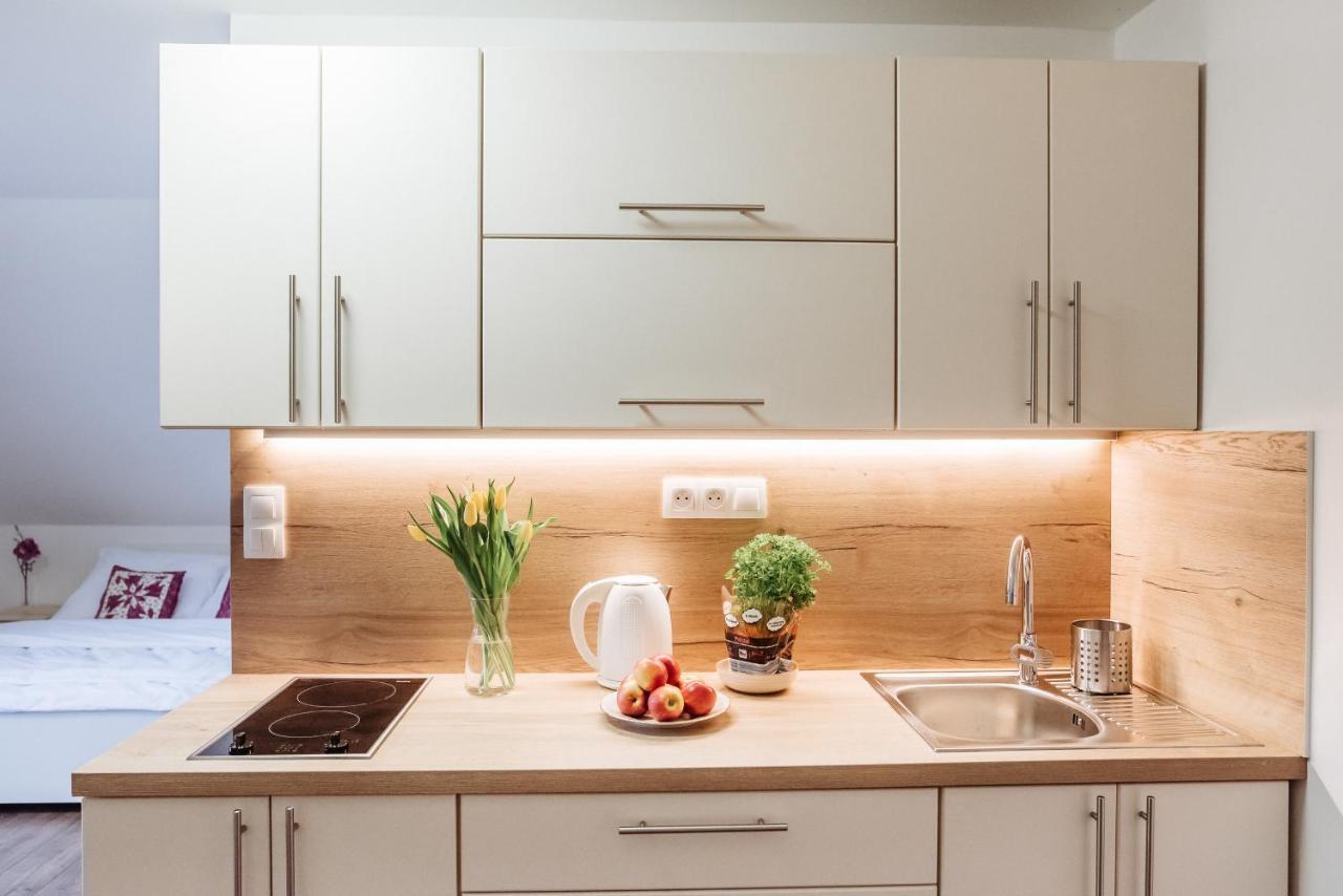 Sojka apartmány Jeseníky Sobotín Exterior foto